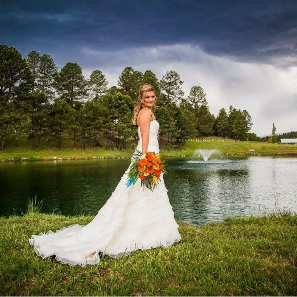 David's Bridal White Strapless Tiered Lace Wedding Gown - Picture 2 of 6